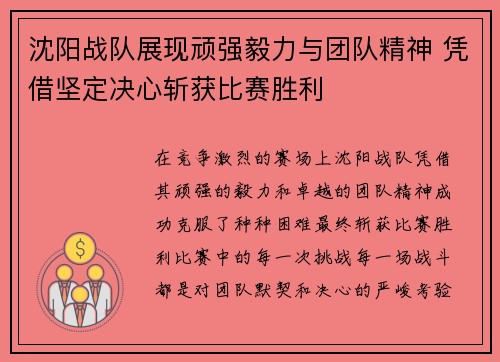 沈阳战队展现顽强毅力与团队精神 凭借坚定决心斩获比赛胜利